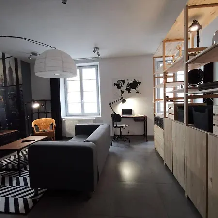 Loft 50m2 Plein Centre-ville Avec Garage, Wifi...